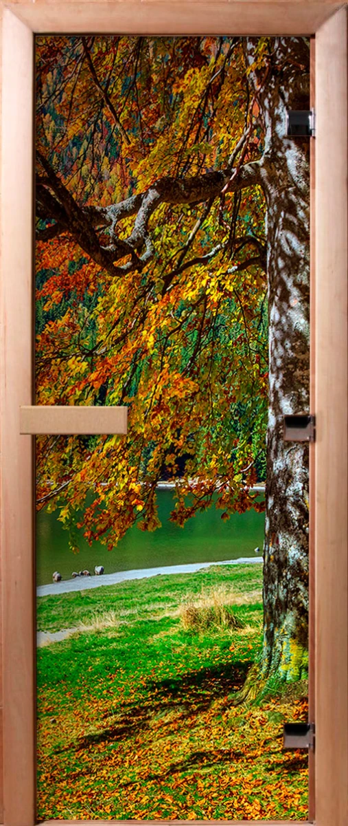 Дверь для бани DoorWood Фотопечать А089, 1900x700 мм