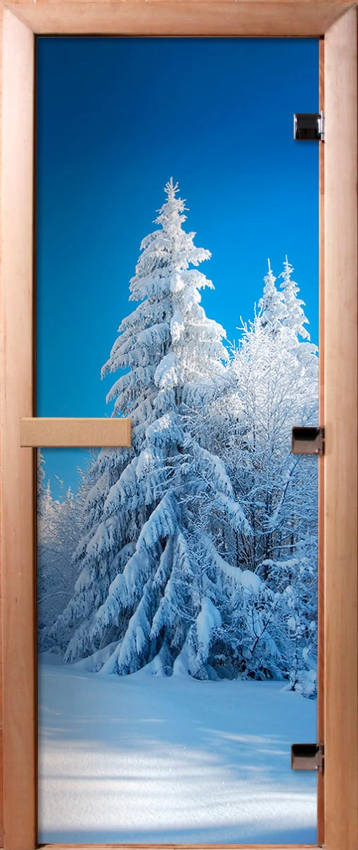 Дверь для бани DoorWood Фотопечать А079, 2000x600 мм