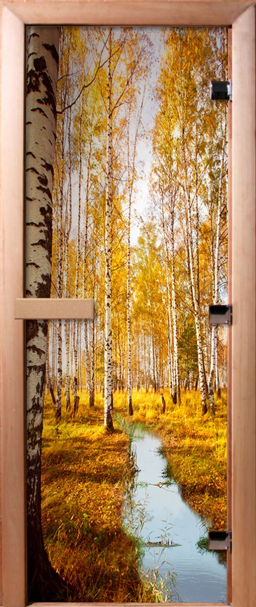 Дверь для бани DoorWood Фотопечать А082, 1900x600 мм